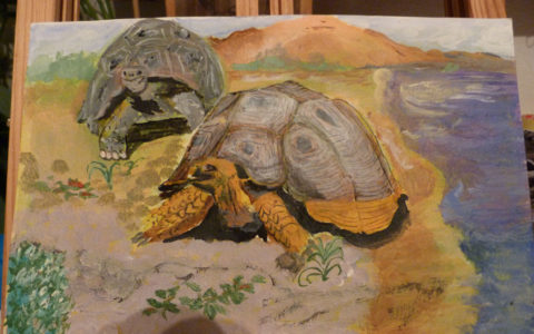 tableau-peinture-tortue